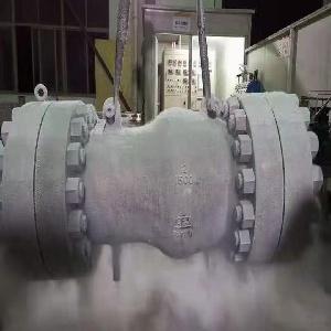 Cryogenic Check Valve