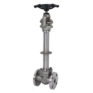 Cryogenic Globe Valve