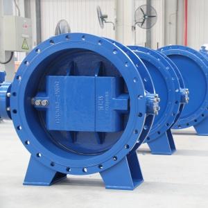 Double Offset Butterfly Valve