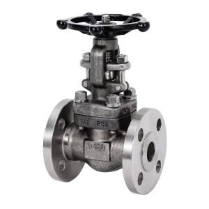 Forged Globe Valve